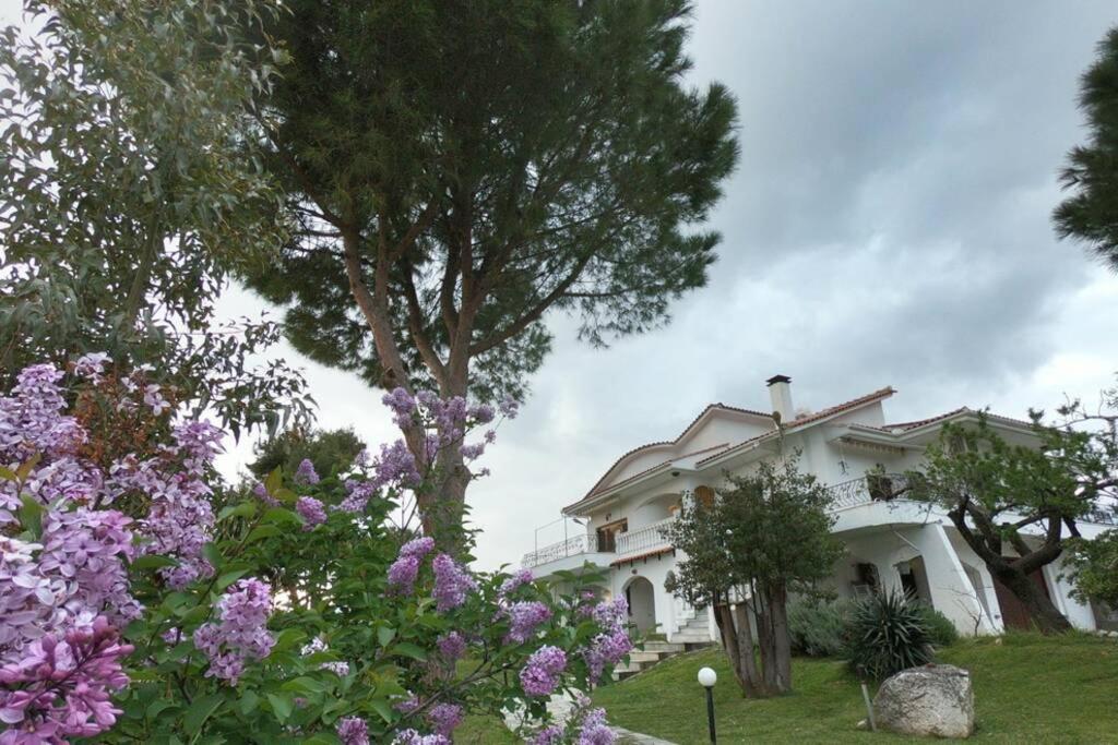 Villa Triple H Volos Exterior foto